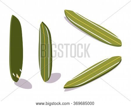 Green Surfboard Isometric In Various Foreshortening Views With Shadow And Surf Fins. Vector Extreme 