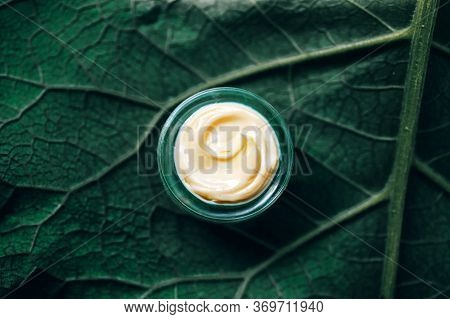 Texture Of Natural Cosmetic Cream For Body Care On A Green Leaf. Natural Organic Cosmetics From Plan