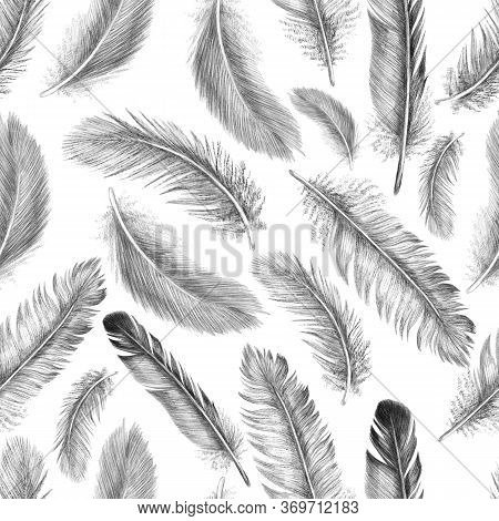 Freehand Drawing Quill Of Fethers Birds. Tribal Seamless Pattern. Isolated On White Background In Gr