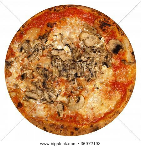 Mushroom Pizza