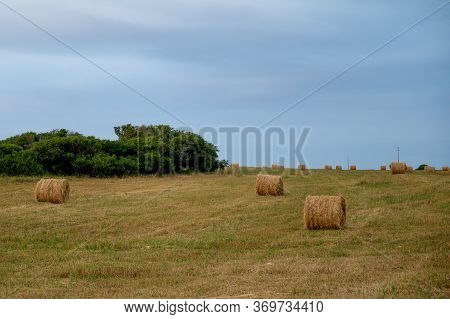 Beautiful Field Haystack Rolls In Autumn Season. Haystacks Harvest In Fall Landscape. Haystack Rolls