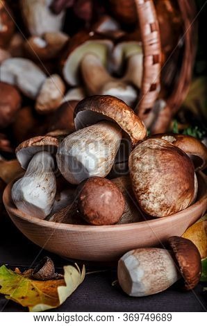 Mushroom Over Wooden Background. Autumn Cep Mushrooms On Wood. Autumn Forest Fruit