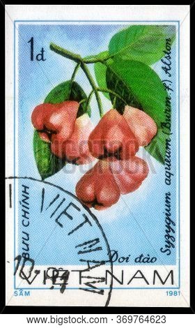 Saint Petersburg, Russia - May 31, 2020: Postage Stamp Issued In The Vietnam With The Image Of The R
