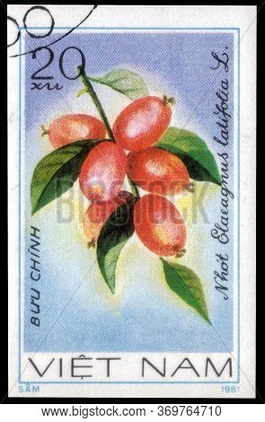 Saint Petersburg, Russia - May 31, 2020: Postage Stamp Issued In The Vietnam With The Image Of The O