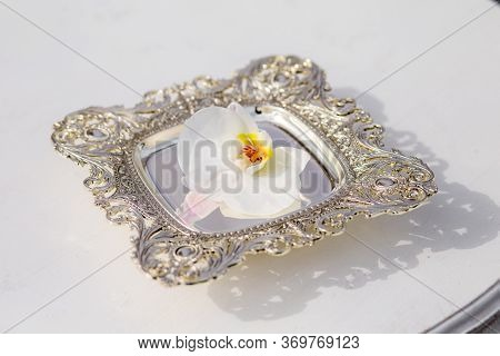 An Orchid On A Silver Tray. A White Orchid Flower In A Silver Saucer On A White Wooden Table. Stand 