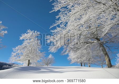 frozen trees on winter mountains of Sicily tourism outdoor activity