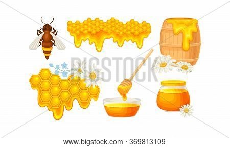 Honey Omb With Hexagonal Wax Cells And Glass Jar Poured With Honey Vector Set