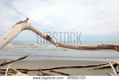 Dried Smoothed Branch Of Tree And Sea On Background