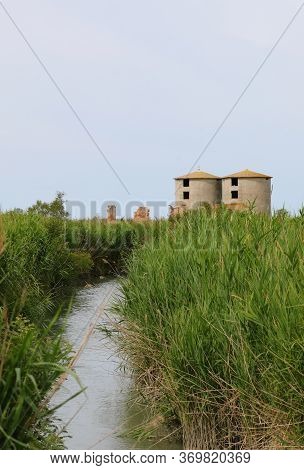 Abandoned Industrial Building And The Swamp With Many Reeds