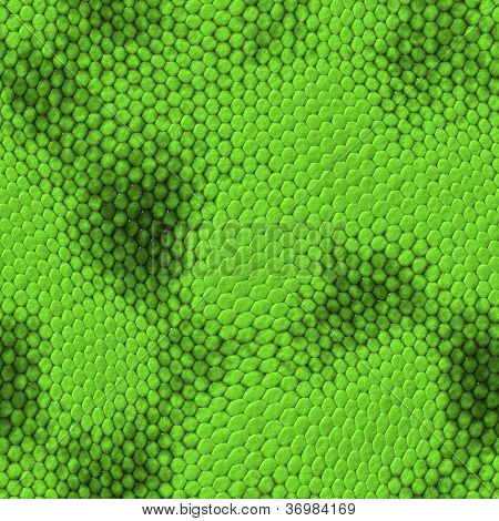 nahtlose Schlange Textur
