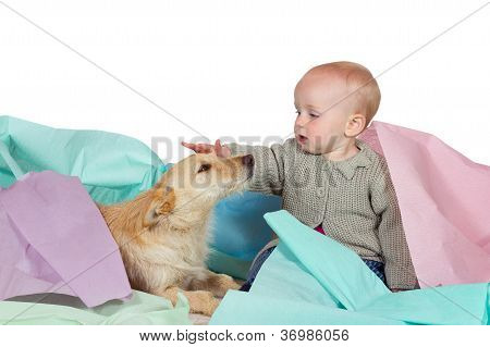 Bebê batendo o cão da família