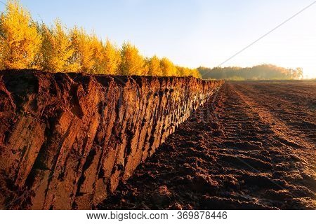 Rows Of Cutted Peat At An Excavation Side In A Peat Bog At Northwestern Germany