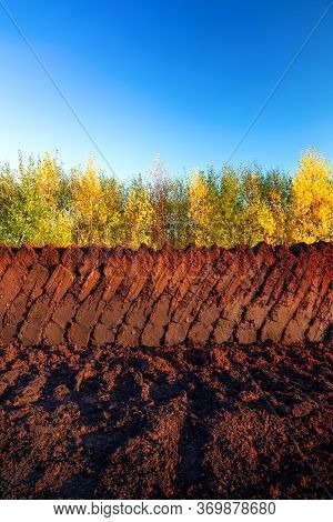 Rows Of Cutted Peat At An Excavation Side In A Peat Bog At Northwestern Germany