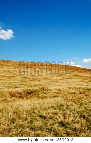 Alpine Landsscape