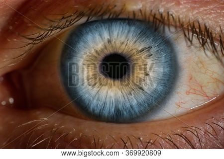 Macro Close Up View Image Of Human Eye