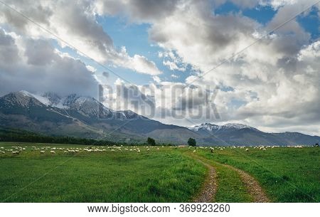 High Tatras (vysoke Tatry) Mountains Landscape Shot With The Country Road,grazing Sheep Herds. Lomni