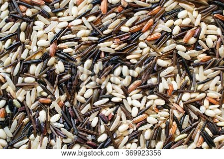 Unsorted Natural Wild Rice Blend That Needs To Be Picked For Consumption- Food Texture Or Background