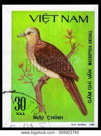 Saint Petersburg, Russia - May 31, 2020: Postage Stamp Issued In The Vietnam With The Image Of The B