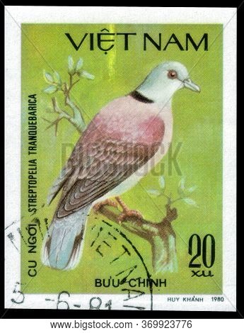 Saint Petersburg, Russia - May 31, 2020: Postage Stamp Issued In The Vietnam With The Image Of The R