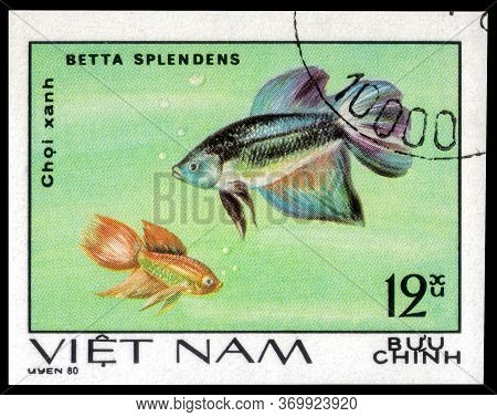 Saint Petersburg, Russia - May 31, 2020: Postage Stamp Issued In The Vietnam With The Image Of The S