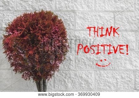 Motivational Concept. Tuya Against A White Brick Wall. Thuja Is Painted Pink. The Inscription Next T