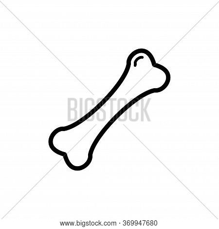 Bone Icon Flat Vector Template Design Trendy