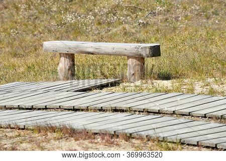 Wooden Bench At Path Leading Through Dunes At Nagliai Nature Reserve Near Nida, Curonian Spit, Lithu