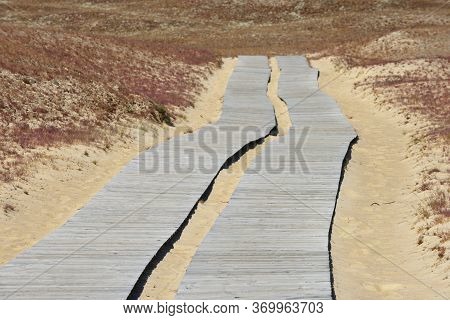 Wooden Path Leading Through Dunes At Nagliai Nature Reserve Near Nida, Curonian Spit, Lithuania