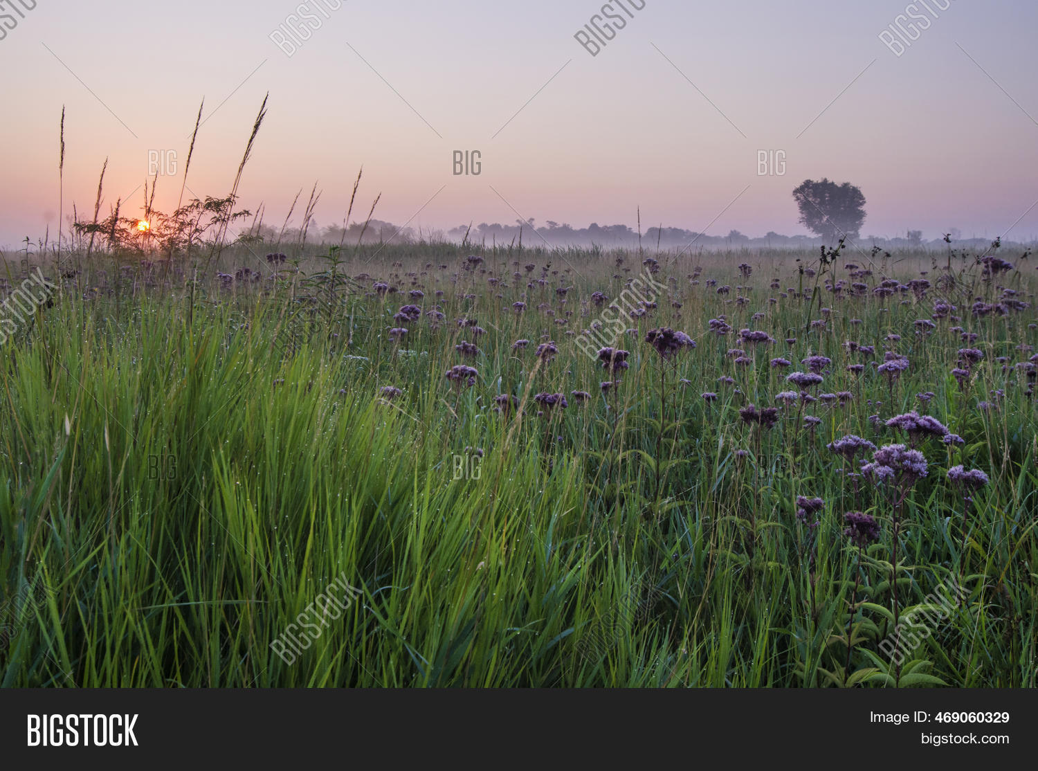 Prairie Early Spring Sunrises Over Prairie Image & Photo (Free Trial) | Bigstock