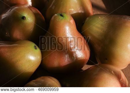 Close Up Rose Apple Or Jambu On Dark Background Under Sunlight. Thailand Apple Tropical Fruit Flavor