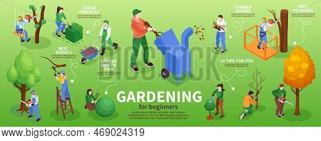 Garden Workers Infographic Set With Hedge Trimming Symbols Isometric Vector Illustration