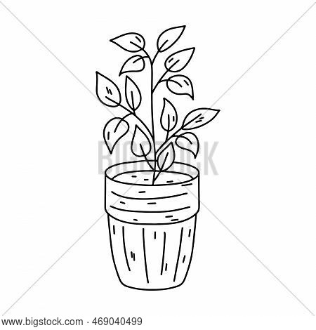 House Plant In Ceramic Pot In Hand Drawn Doodle Style. Decorative Potted House Plant Sketch Illustra