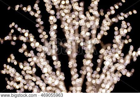 Different Sized Bokeh, Light Circles Due To Lbp Focus
