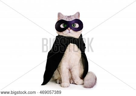 Cute White Cat In A Black Mask And Black Cape