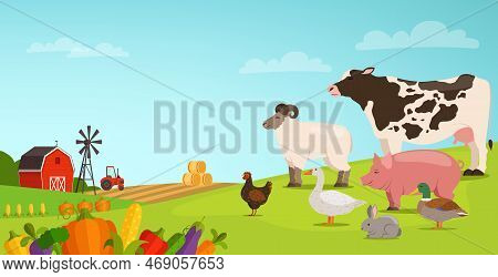 Farm Landscape With Domestic Animals. Countryside Cartoon Scene