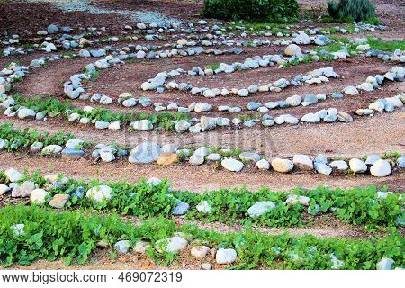 Maize Of Rocks Creating Circular Paths On A Labyrinth Which Is Used For Spiritual Meditation Taken A