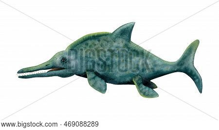 Dark Blue Green Marine Dinosaur Ichthyosaur Isolated On White Background. Swimming Ancient Dolphin W