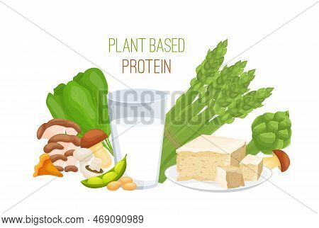 Plant Based Protein Concept. Editable Vector Illustration
