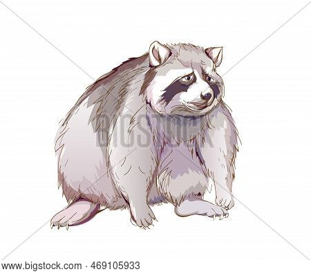 Fantasy Illustration Of Cute Sad Little Raccoon. Wildlife Animals. Drawing On White Background. Hand