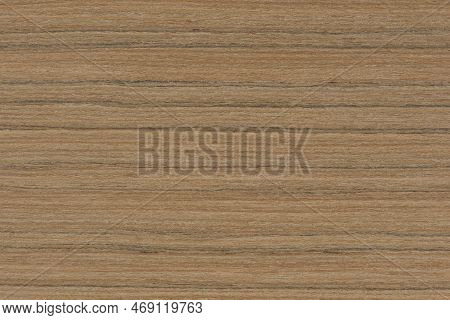 Zebra Tree. Texture Of Brown Wood With Horizontal Black Stripes. African Zebrano Wood Texture On Mac