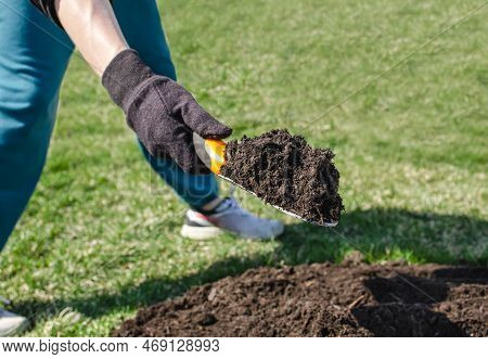 Man In Black Glove Holding Shovel With Brown Moisture And Fertilize Soil Over Cultivation Ground And