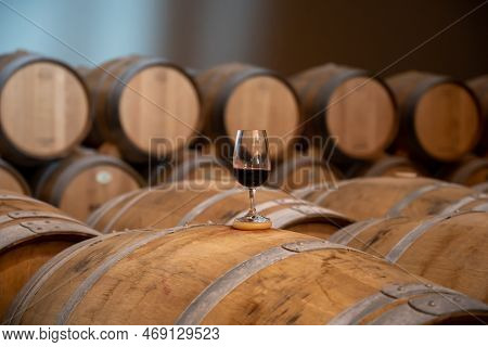 Tasting Of Rioja Wines, Visit Of Winery Cellars With French Or American Oak Barrels With Agening Red