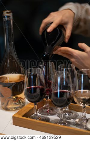 Tasting Of Rioja Wines, Visit Of Winery Cellars With French Or American Oak Barrels With Agening Red