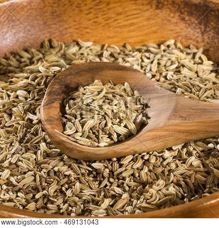 Foeniculum Vulgare - Dried Organic Fennel Seeds In The Spoon