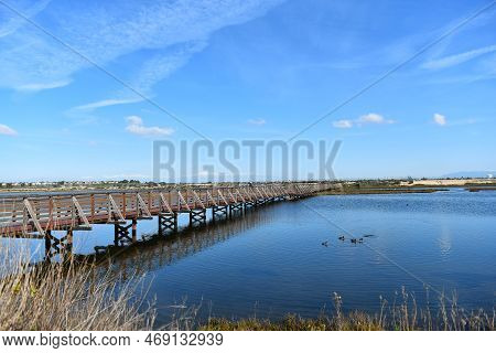 Huntington Beach, California - 18 Jan 2023: People Viewing Wildlife On The Bridge At The Bolsa Chica