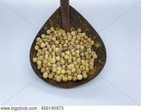 White Pepper In Indonesian Is Called Merica Isolated On White Background. White Pepper Is A Basic In