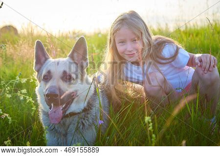 A Pretty Blonde Girl Having Fun With Big Dog Shephers In A Meadow On A Natural Landscape With Grass 