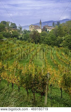 Natural Park Of Curone And Montevecchia, In Brianza