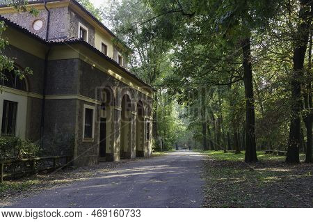 Road In The Monza Park At Fall