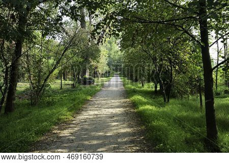 Path In The Park Of Lambro Valley, Brianza, Italy